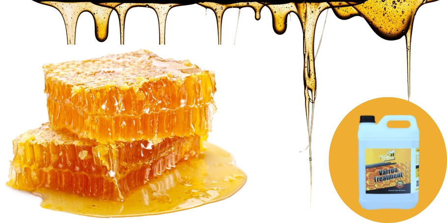 Apicultura: ¡Alerta por la disminución en la producción de miel!