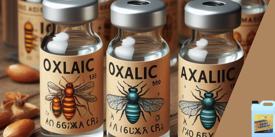 Lucha contra la Varroa: Tratamiento con ácido oxálico, una alternativa prometedora