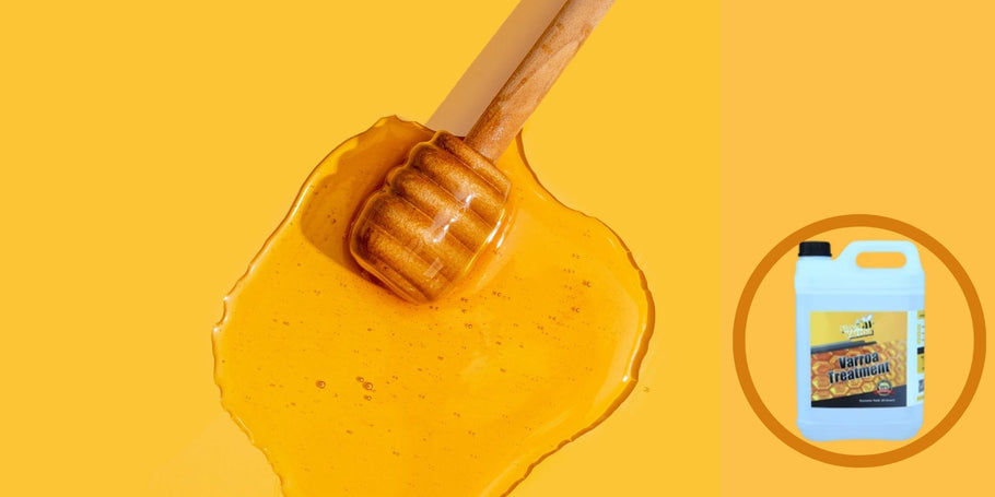 El misterio de la miel desaparecida: diagnosticar los problemas de producción de tu miel