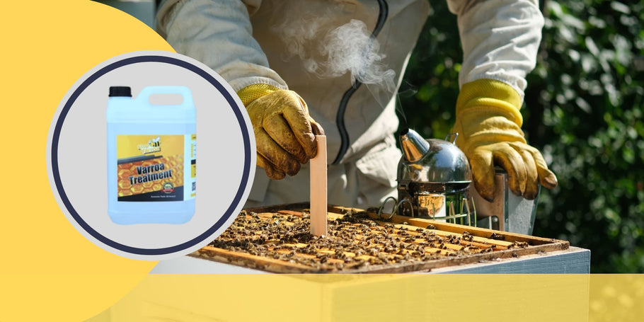 Lucha contra los ácaros Varroa: momentos clave para proteger la salud de las abejas