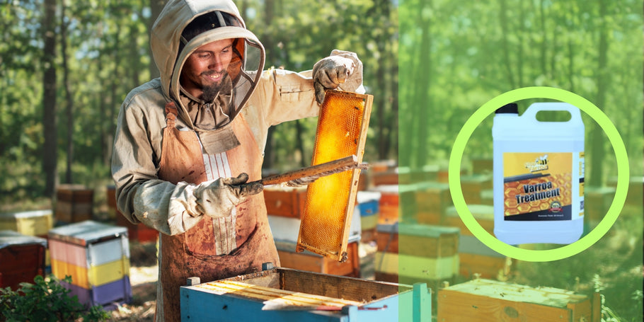 Tratamiento antivarroa: proteja a sus abejas y aumente su producción de miel