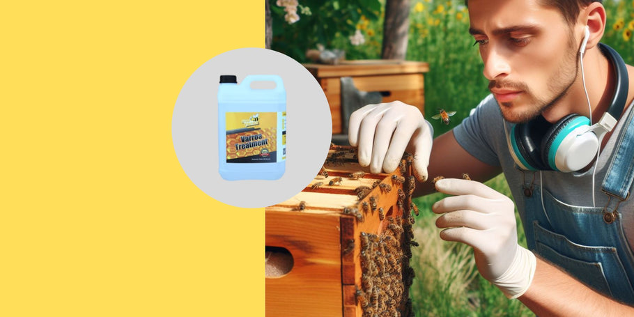 Varroa: ¿cómo manejan los apicultores profesionales este parásito?