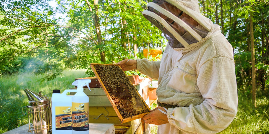 Ácaros Varroa: una amenaza para las abejas, soluciones para los apicultores