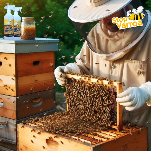 Varroa: Un ácaro contagioso para las abejas